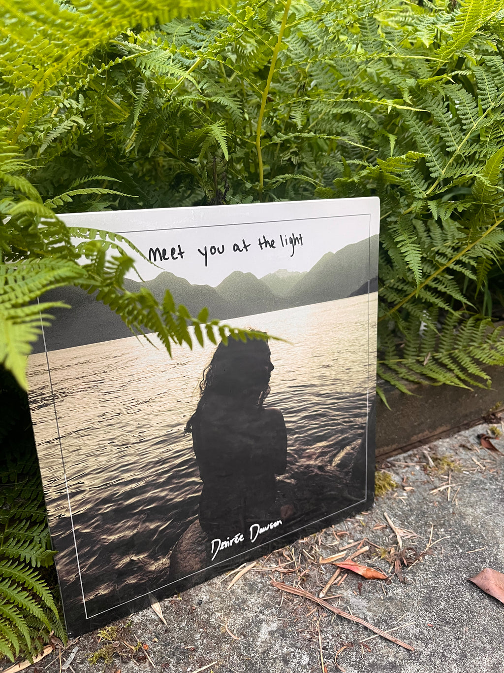 Meet You At The Light - Vinyl