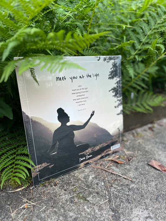 Meet You At The Light - Vinyl